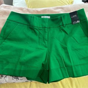 New York & Company Shorts